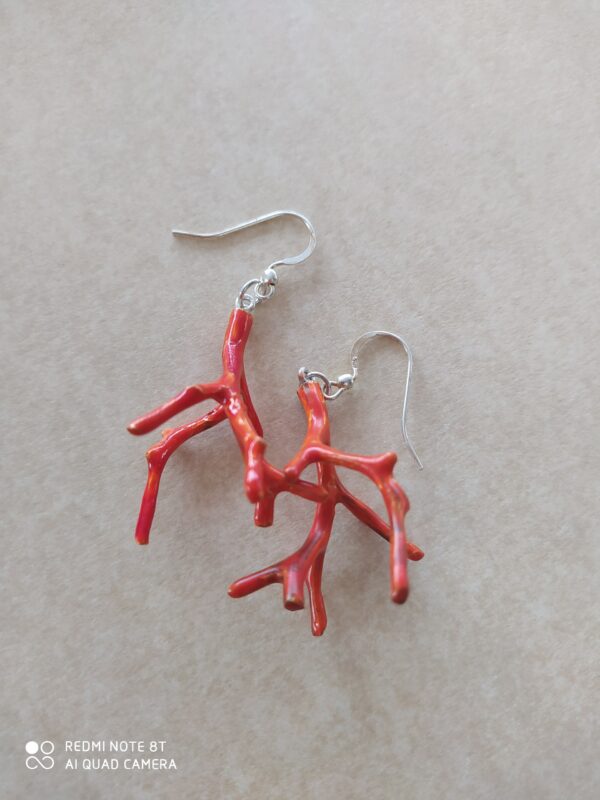 Corallo #1