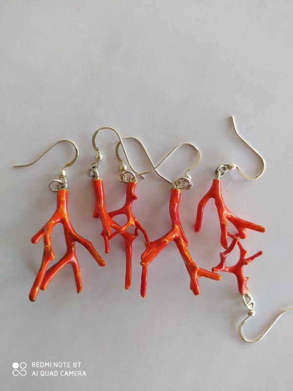 Corallo #1 - Image 6